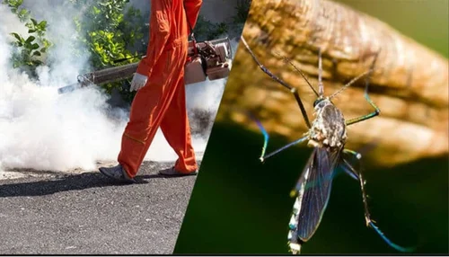 Mosquito Control Services