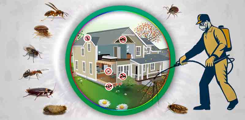 Pest Control Services in Tirupati